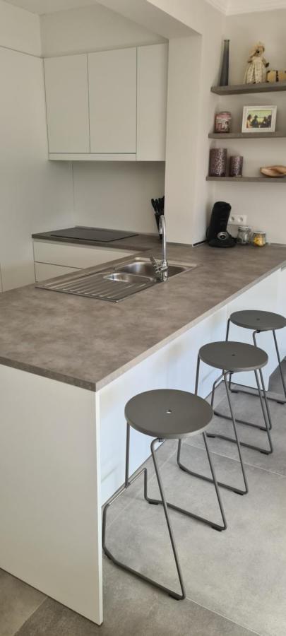 Dumont Apartment De Panne